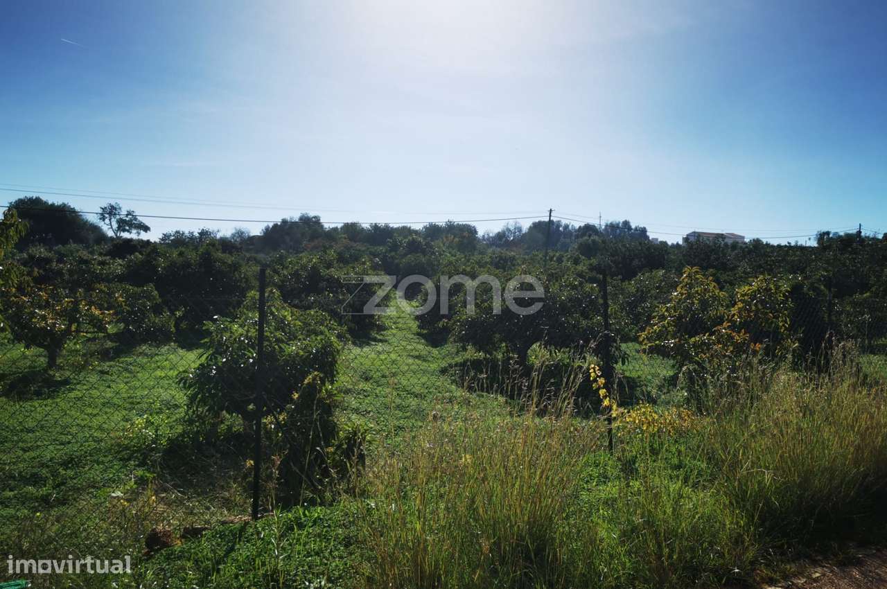 Terreno Agricola em Silves - Grande imagem: 3/20