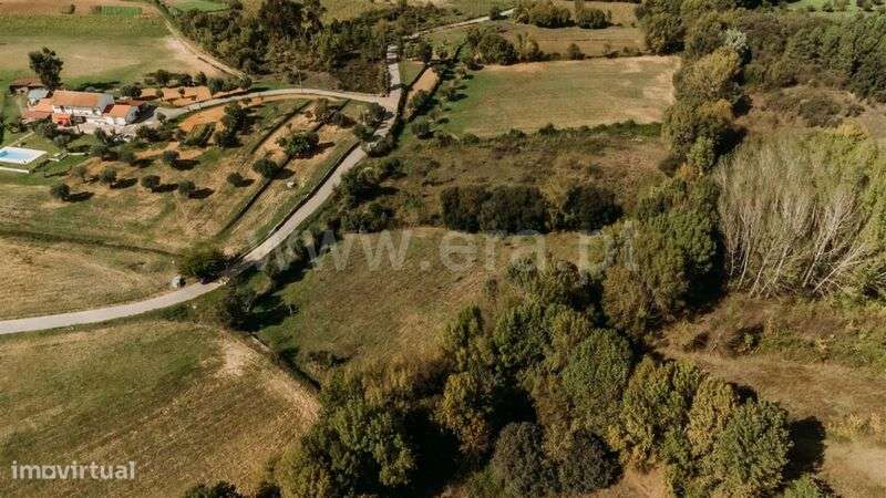 Terreno / Fundão, Enxames - Grande imagem: 5/7