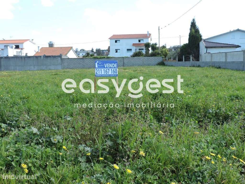 Terreno Vieira de Leiria - Grande imagem: 3/6