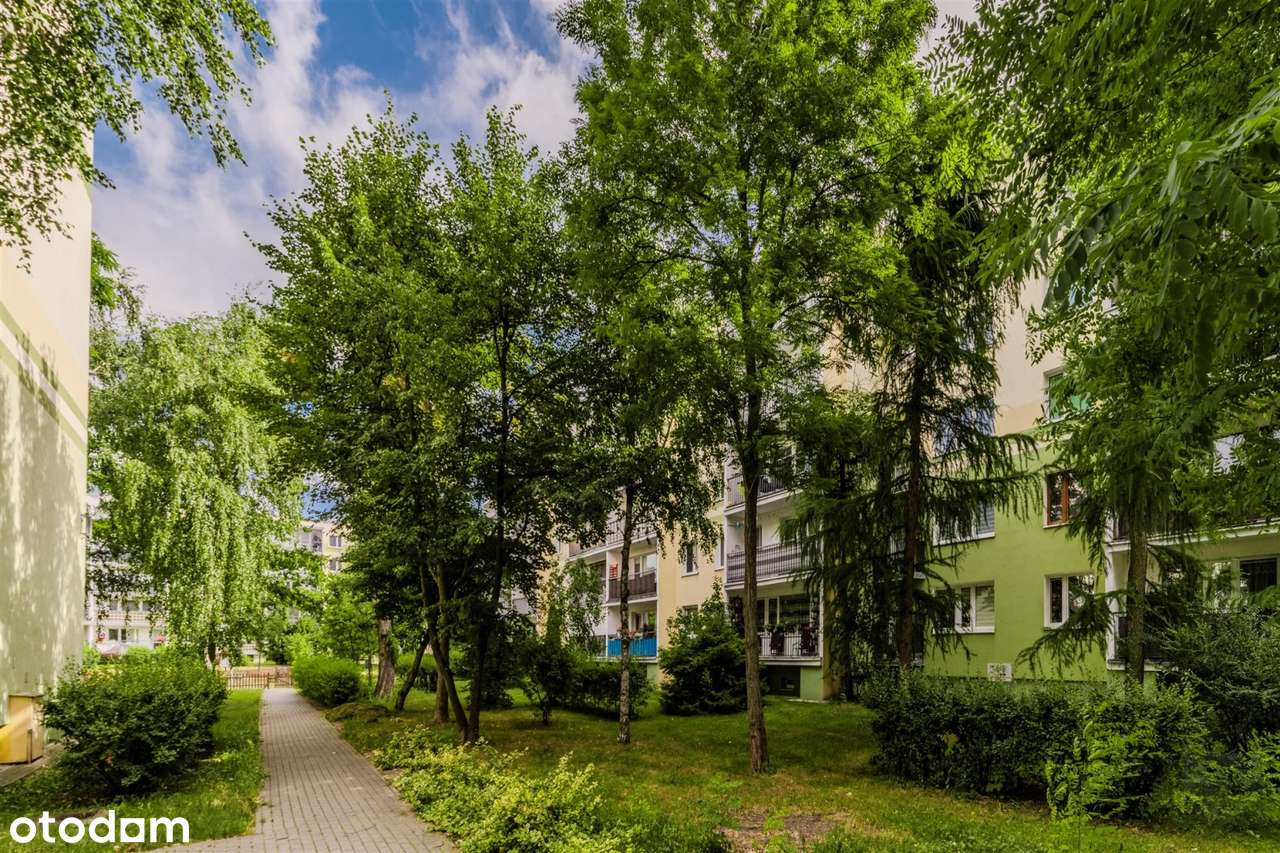 Mieszkanie trzypokojowe z osobną kuchnią-1