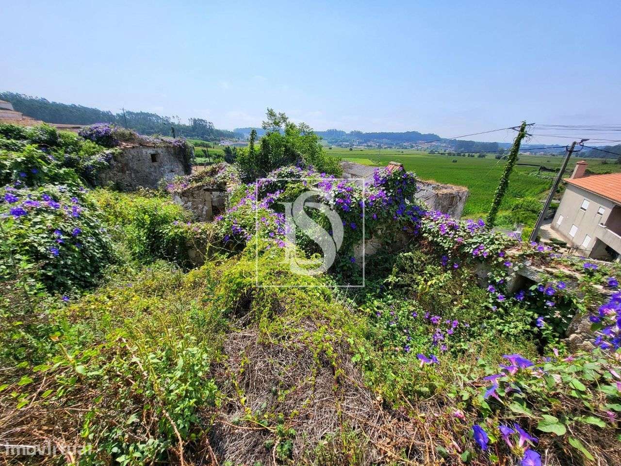 Terreno - Fornelo - Vila do Conde - Grande imagem: 5/13