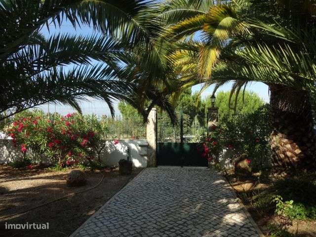 Quinta T/7 Cartaxo-5