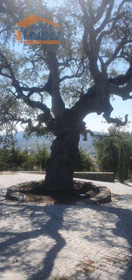 Terreno com paisagem para a Vila - Grande imagem: 5/18