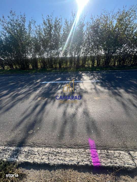 Teren de vanzare- deschidere DN4 138 m  –  Budesti, sat Gruiu - Cala - Imagine principală: 5/7