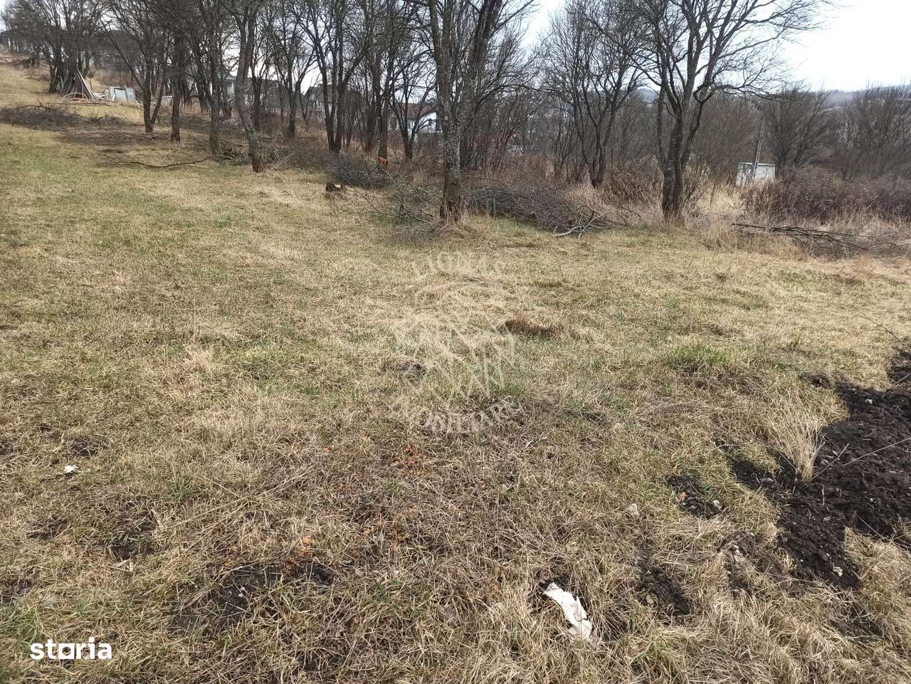 Teren intravilan 1953 mp utilitati- 4800 E/ ar Zona Valea Sigmirului - Imagine principală: 3/5