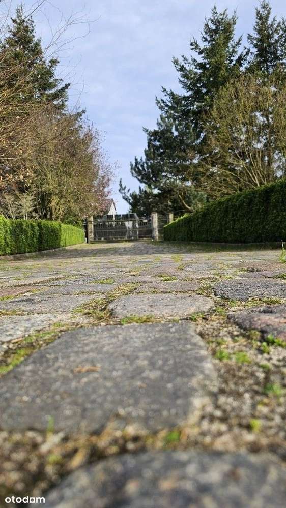 Rezydencja Dworek Sławoszewo - Pełny obrazek: 5/20