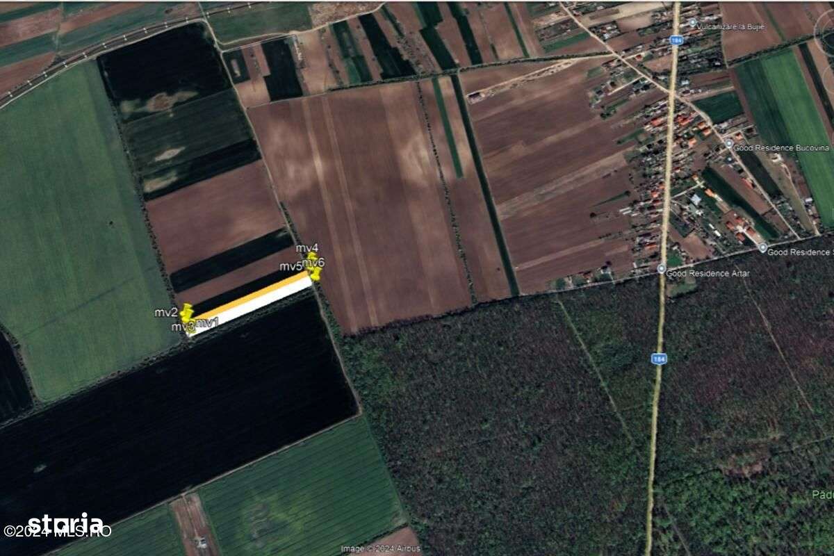 Moara Vlasiei - langa Padurea Biglaru, 11.884 mp, deschidere 40 ml - Imagine principală: 5/15