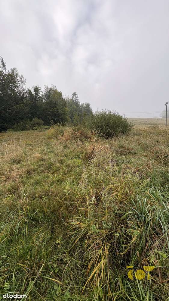 działka na sprzedaż w malowniczym Podhalu - Pełny obrazek: 5/13