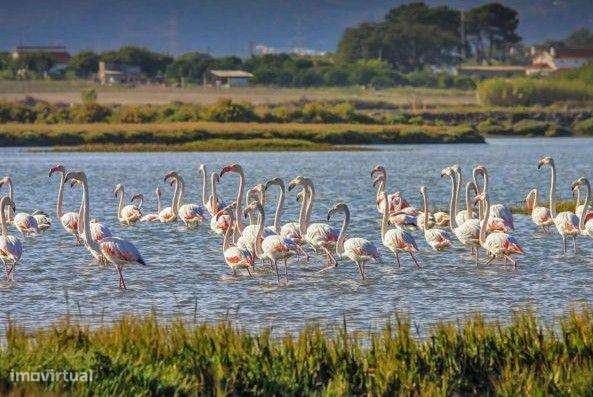 Moradia T4 Independente com garagem e jardim e Sótão em Setúbal-55