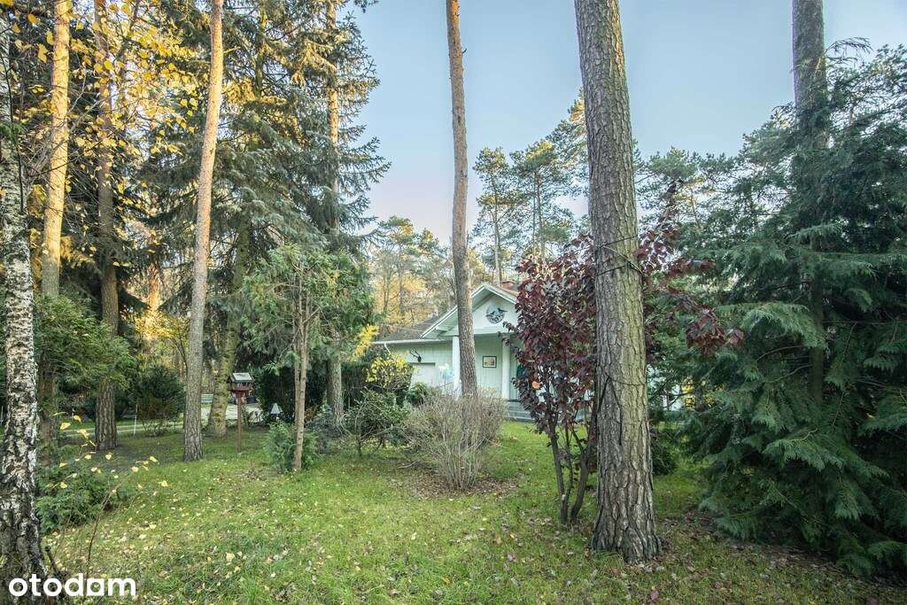 Black Friday 2025: dom w lesie w promocyjnej cenie - Pełny obrazek: 5/20