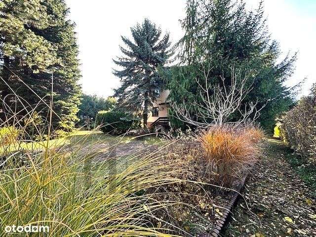 Dom w starodrzewiu pod Lublinem-4