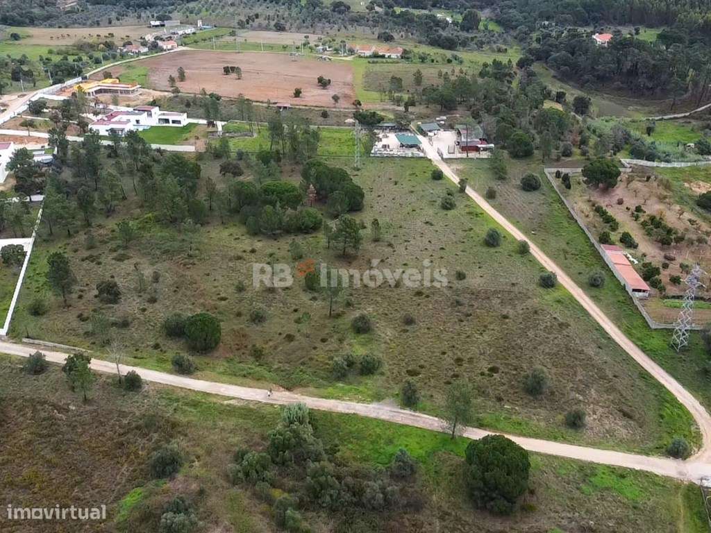 Terreno Rústico com 12.200 m2, em Atalaia, Vila Nova da Barquinha. - Grande imagem: 4/14
