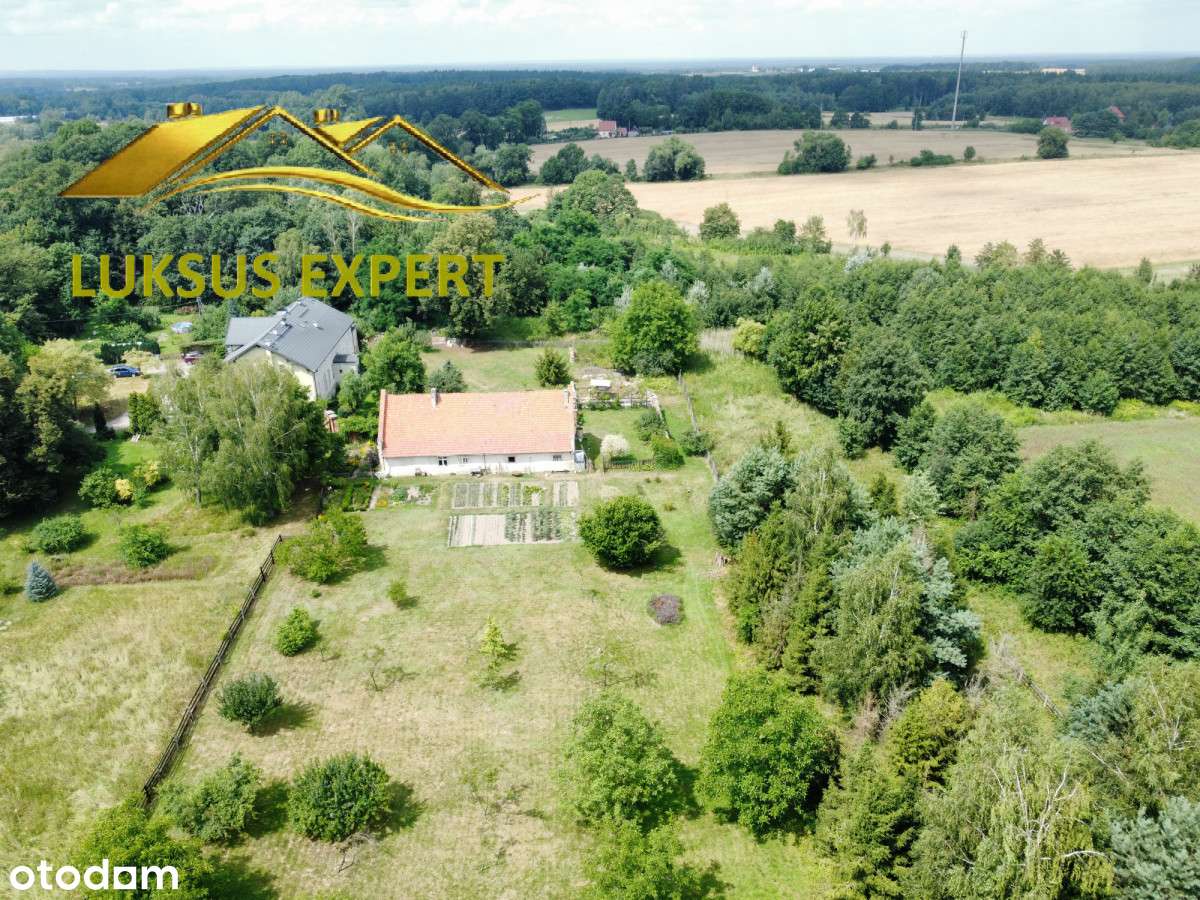 Dom z dużą działką w Bukowinie Sycowskiej - Pełny obrazek: 1/20