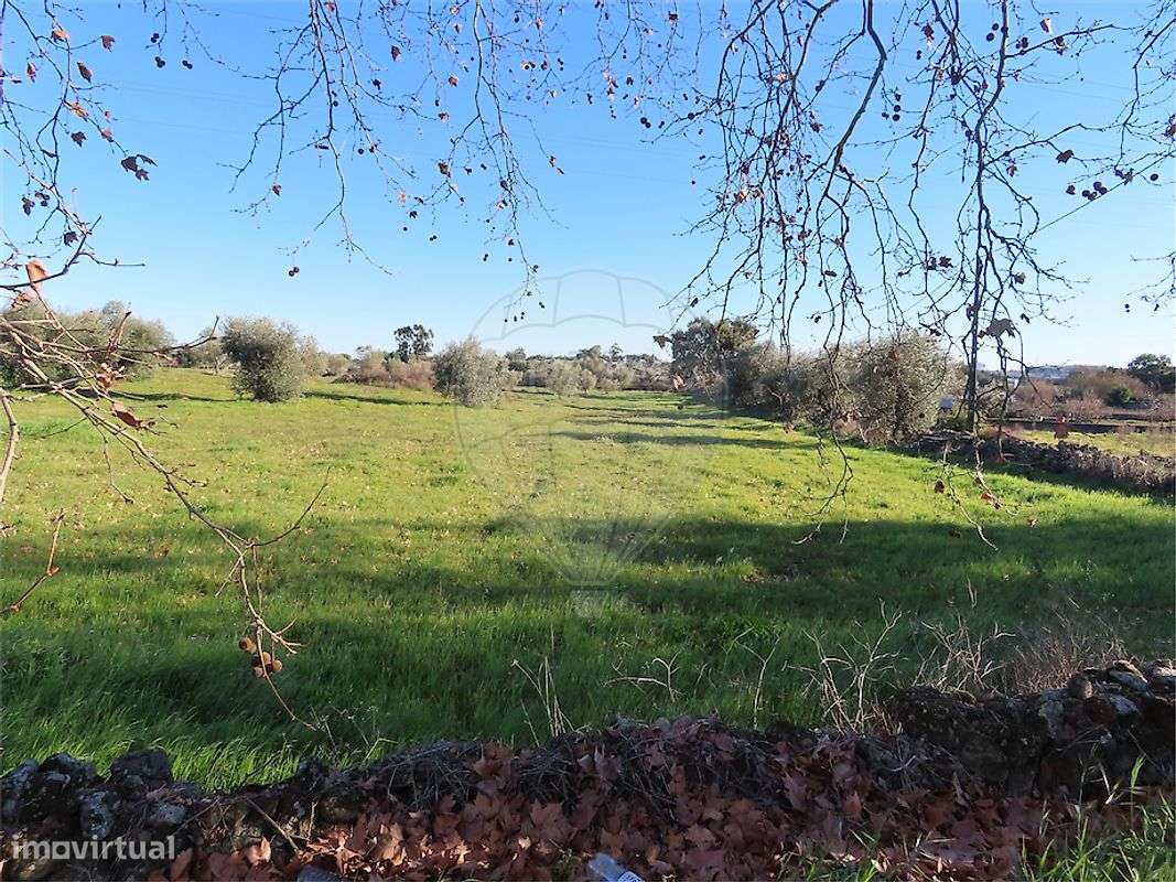 Terreno  para venda - Grande imagem: 2/7