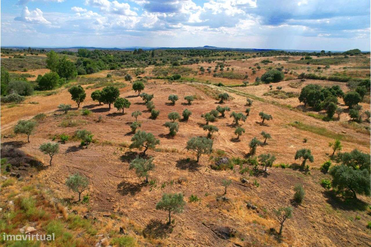 Quinta com vistas fantásticas para Monsanto-12