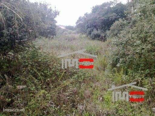 Terreno para construção - Grande imagem: 3/8