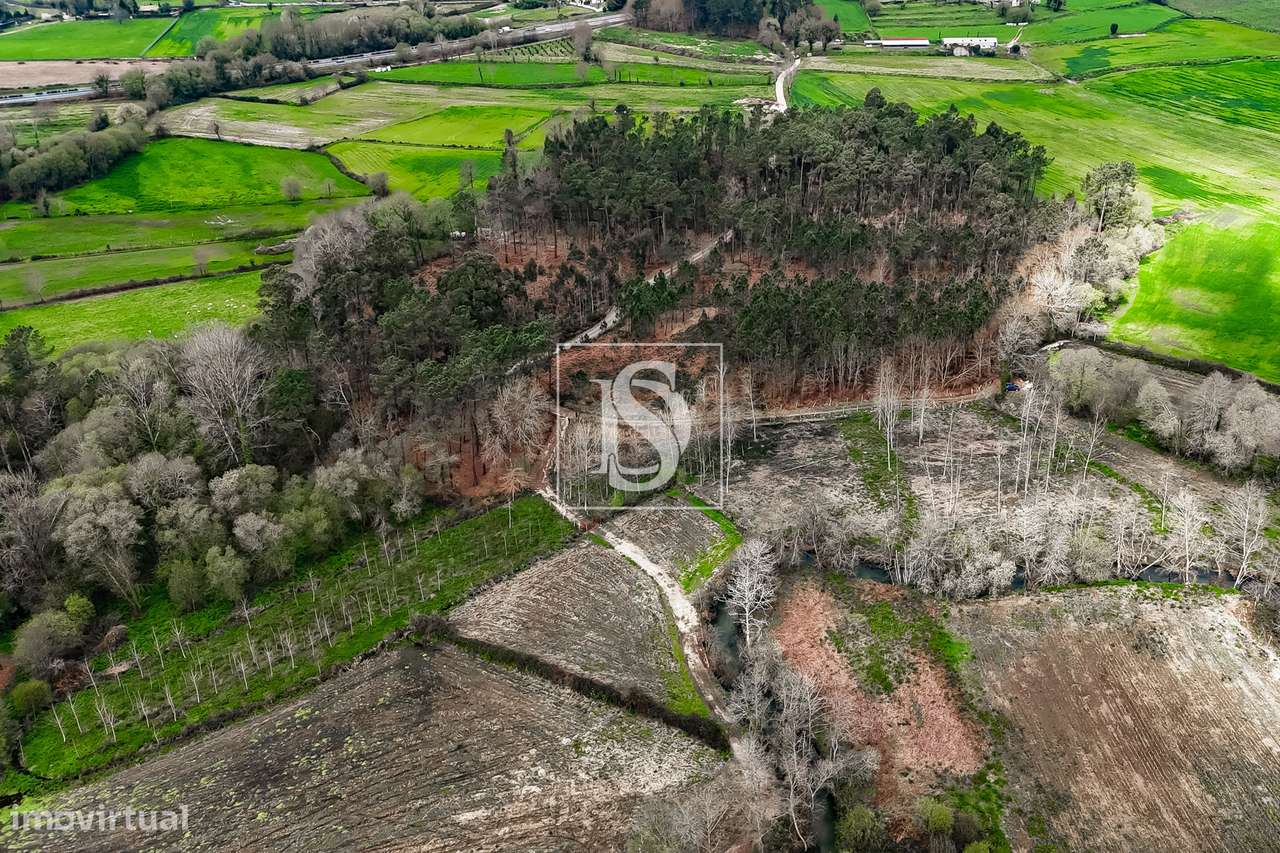 Terreno Rústico  Venda em Associação de freguesias do Vale do Neiva,Po-17
