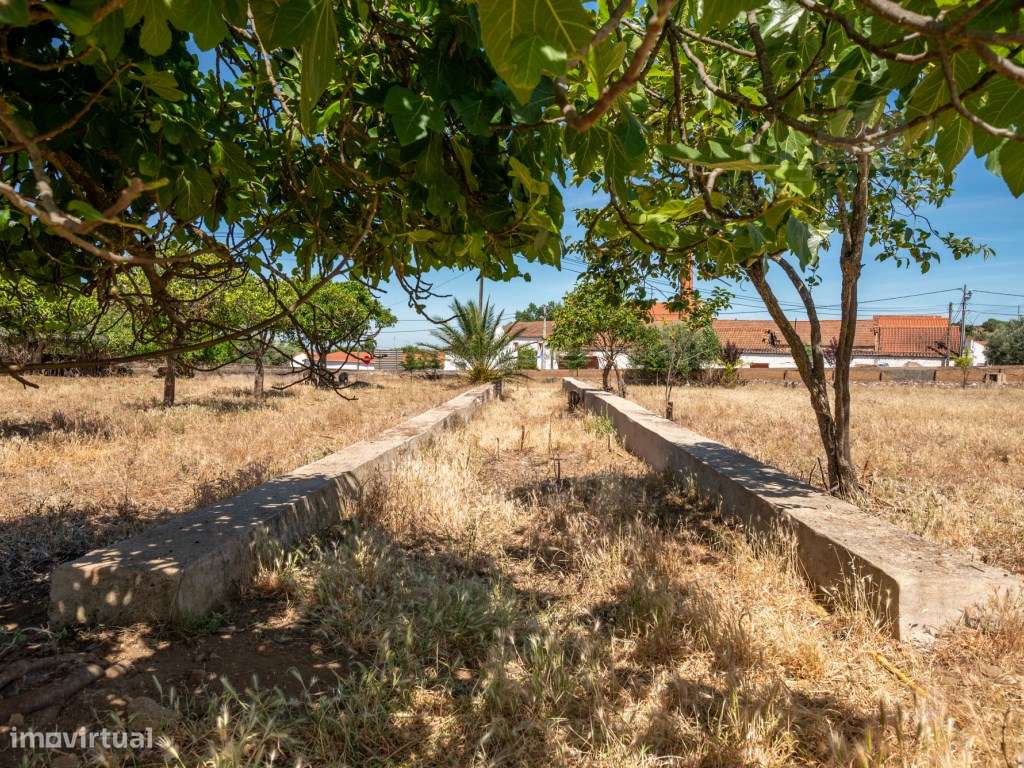Quinta de São Miguel | Um Projeto Único junto ao Castelo de Estremo...-23