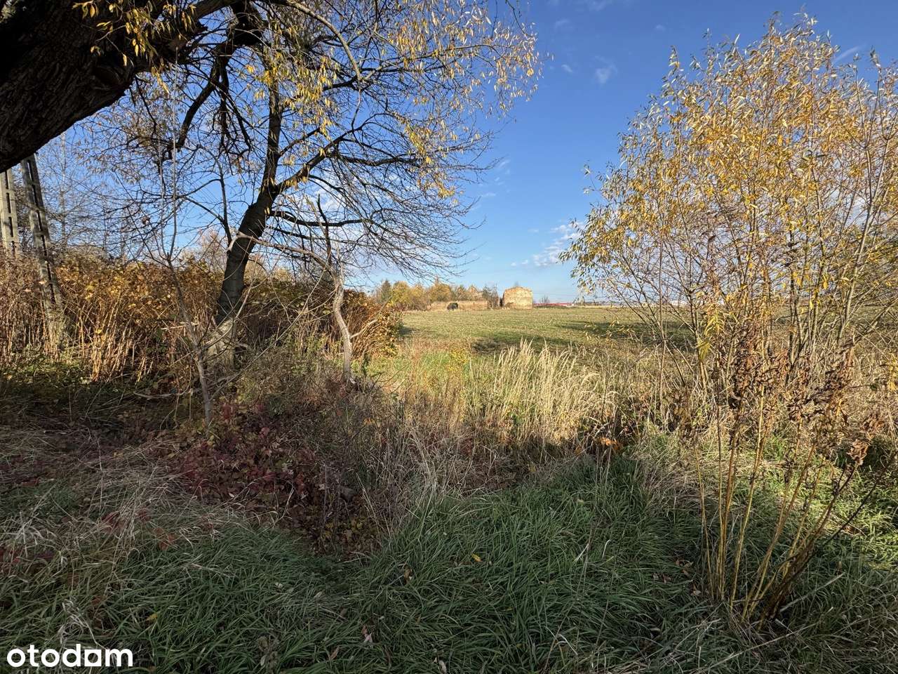 Działka budowlana przy głównej drodze Pieszyce | Prywatność-12