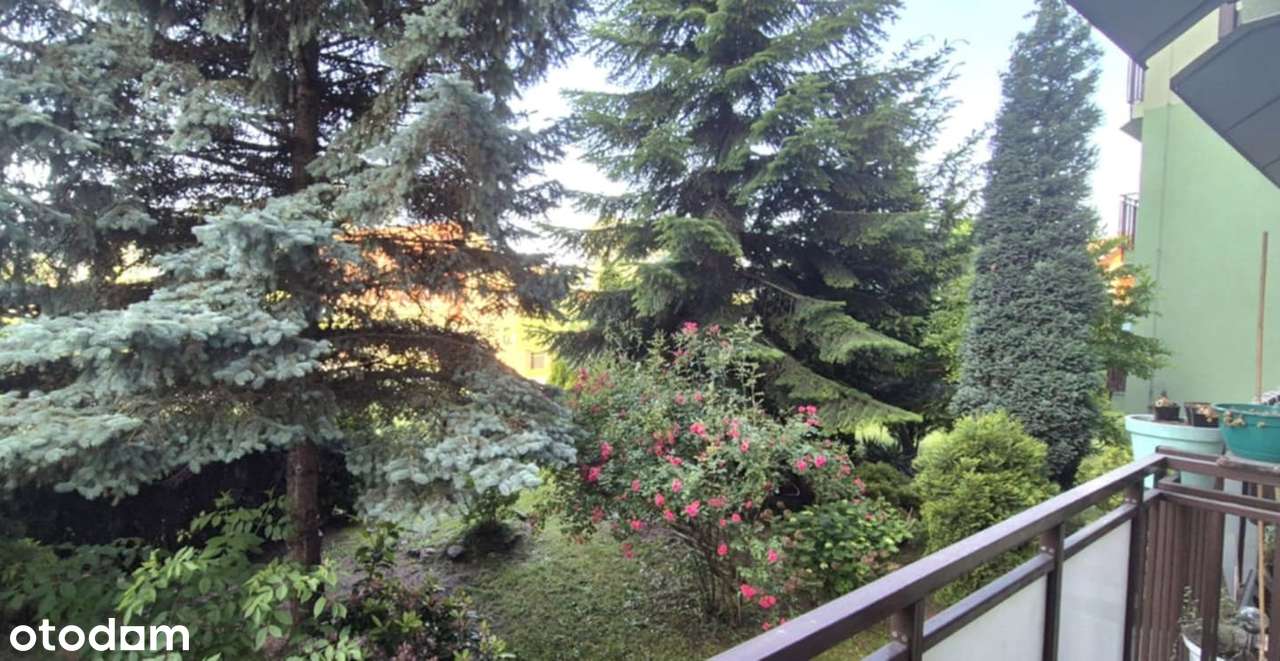 Trzypokojowe mieszkanie parter Bieruń ul. Granitowa-13