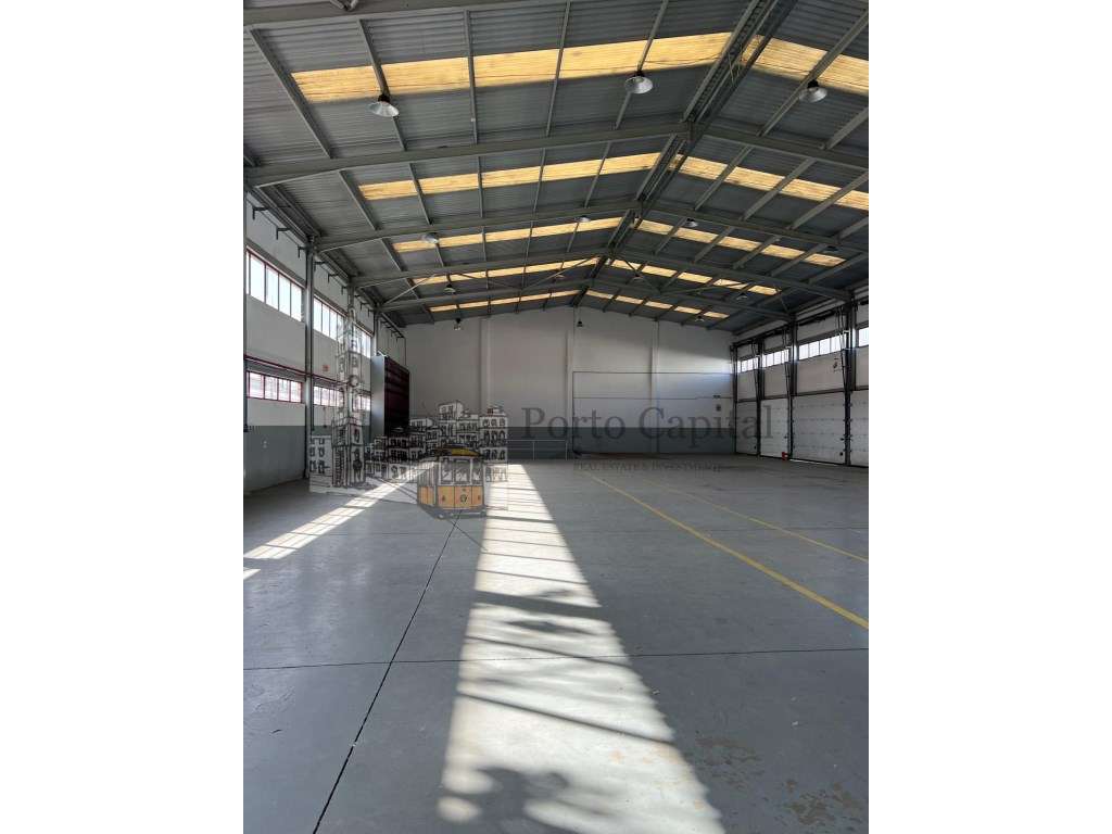 Armazém junto ao Aeroporto do porto, com Escritórios, Logradouro e ... - Grande imagem: 2/25
