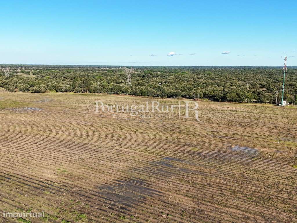 Herdade de 60 hectares para criação bovina e equina perto de Lisboa-10