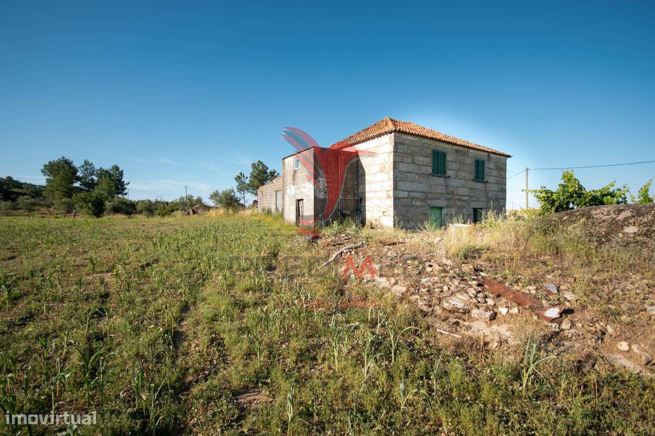 Quinta no concelho de Trancoso com + de 1.5 hectares - Grande imagem: 4/12