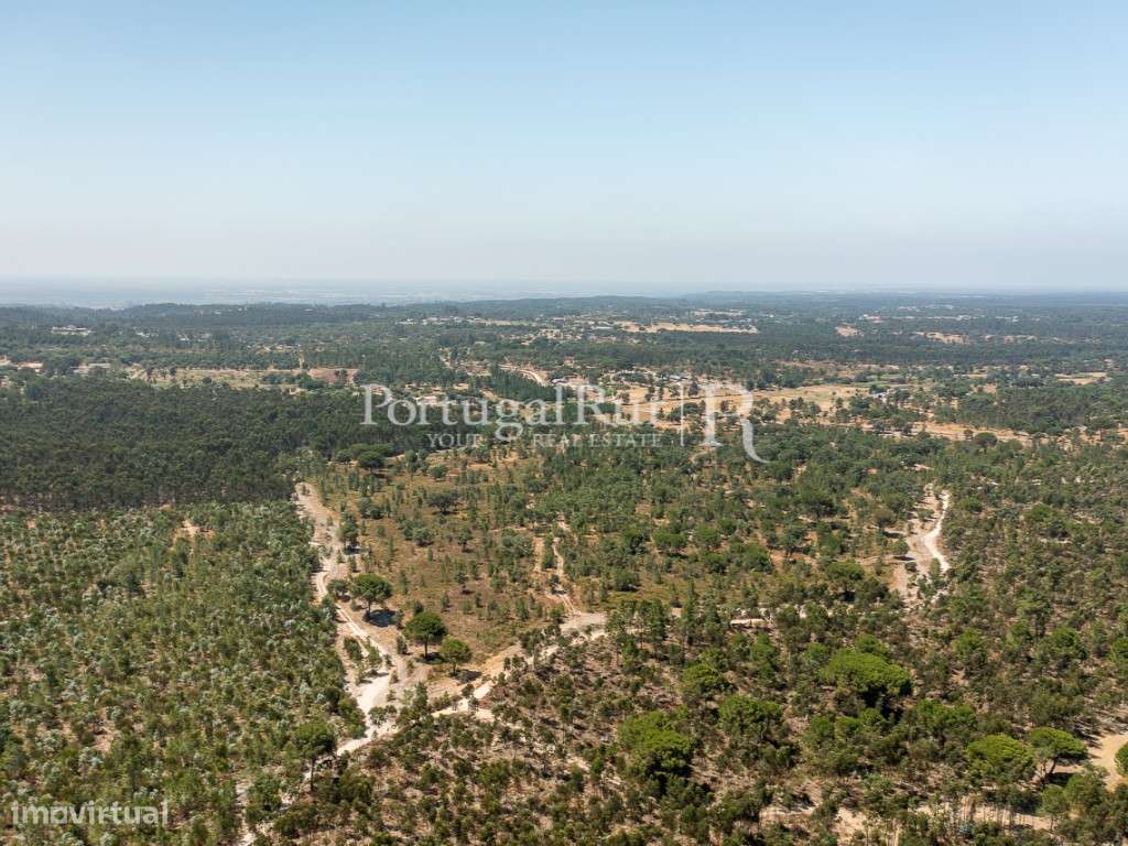 Quinta de 20ha com projeto para Turismo Rural a 1h de Lisboa-10