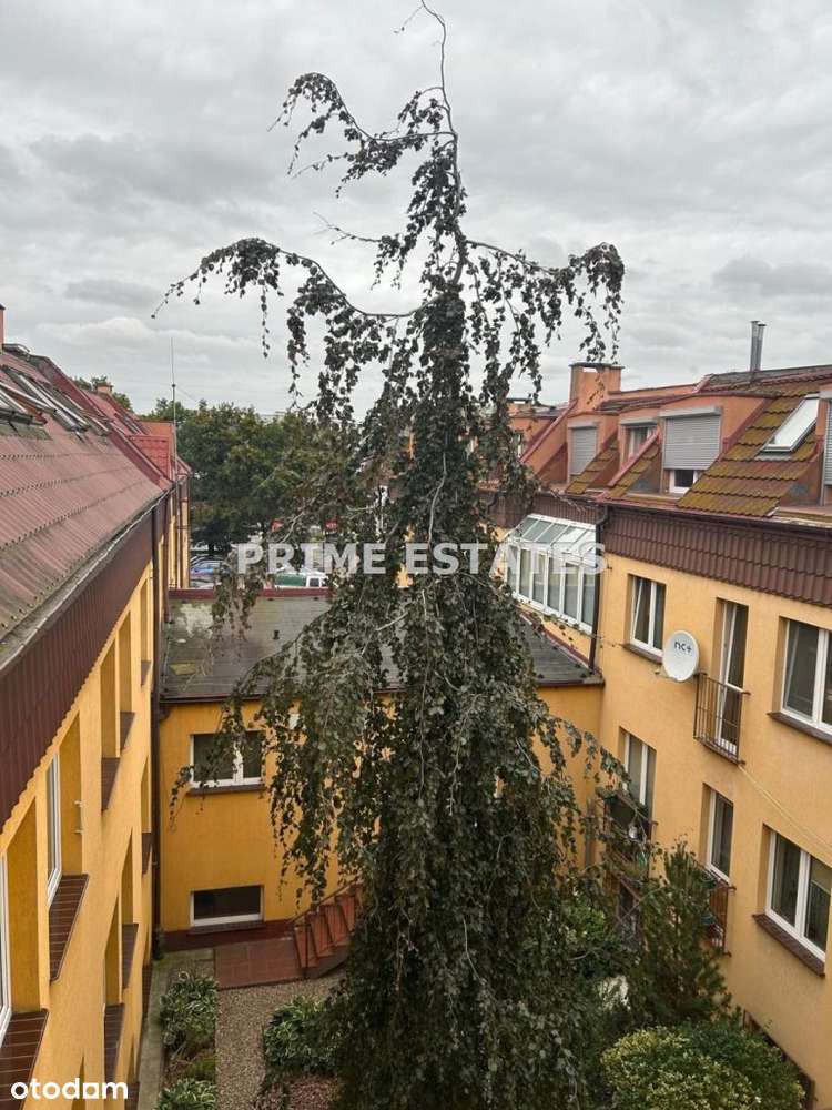 Przestronne 3-pok rozkładowe mieszkanie przy parku-12