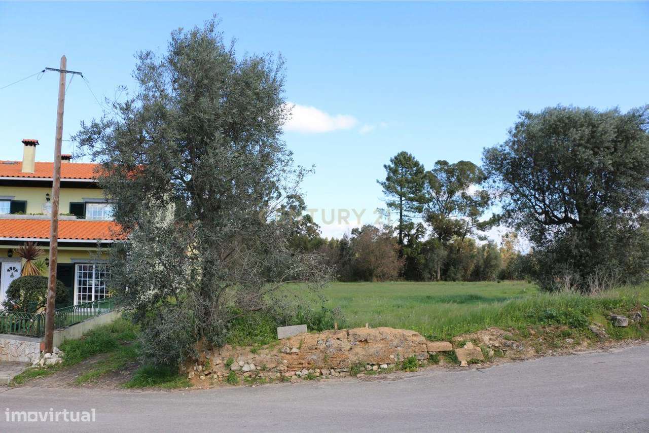 TERRENO PARA CONSTRUÇÃO | OLIVEIRA DO BAIRRO | 1460m2 - Grande imagem: 2/4