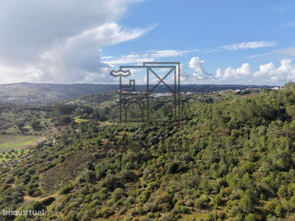 Oportunidade Única de Investimento Agrícola em Alenquer-8