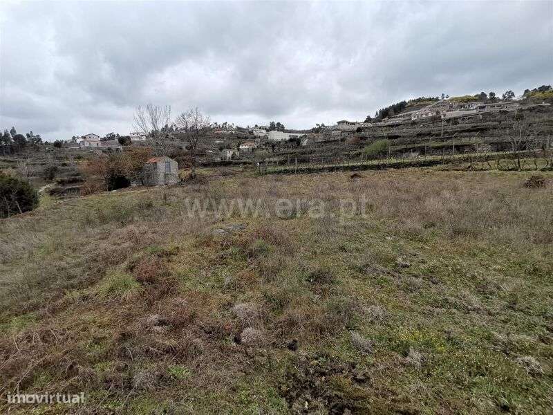 Terreno / Baião, Baião (Santa Leocádia) e Mesquinhata - Grande imagem: 5/6