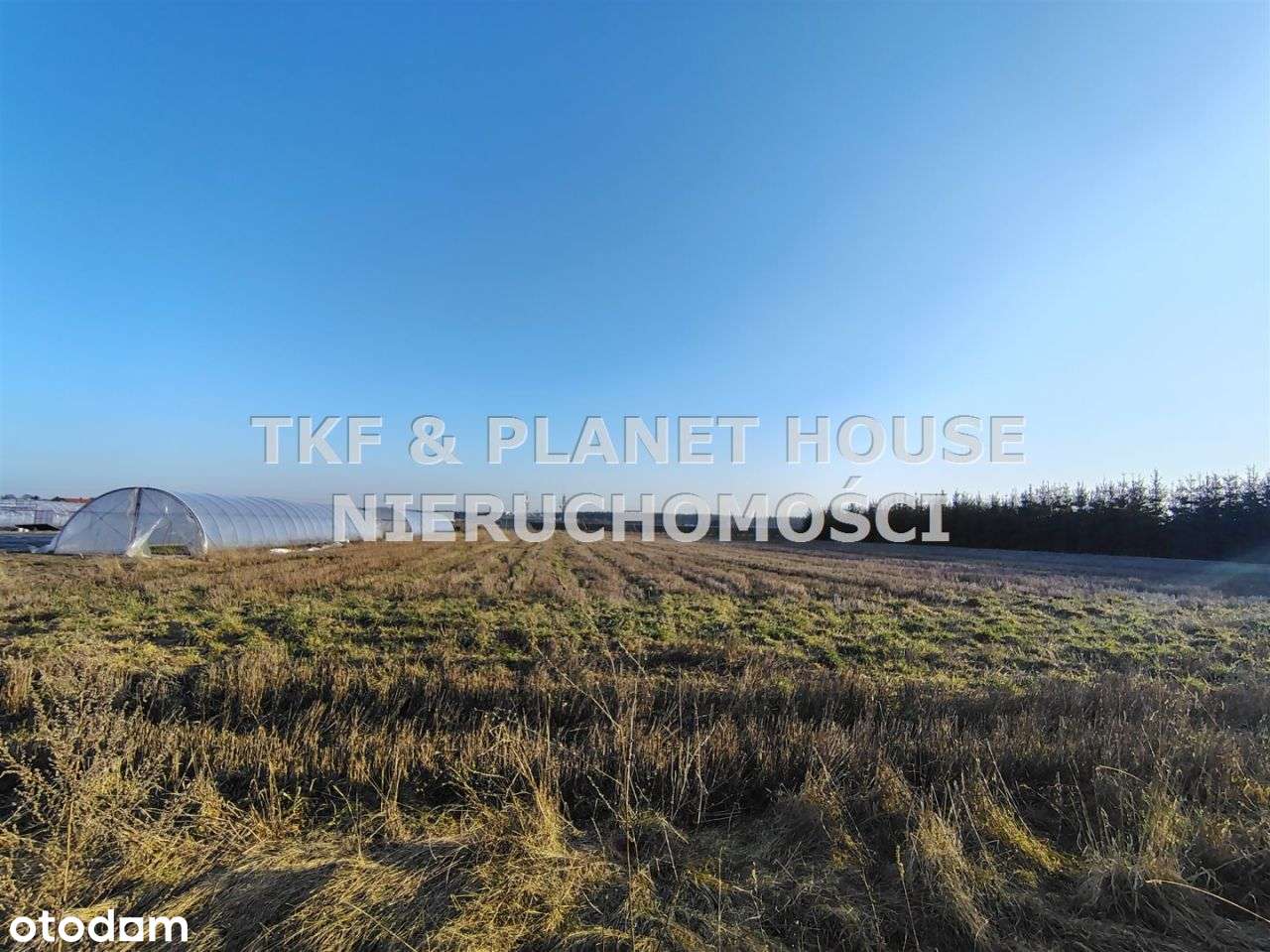 Działka z Wz 6428m2 Rzeczyca-0