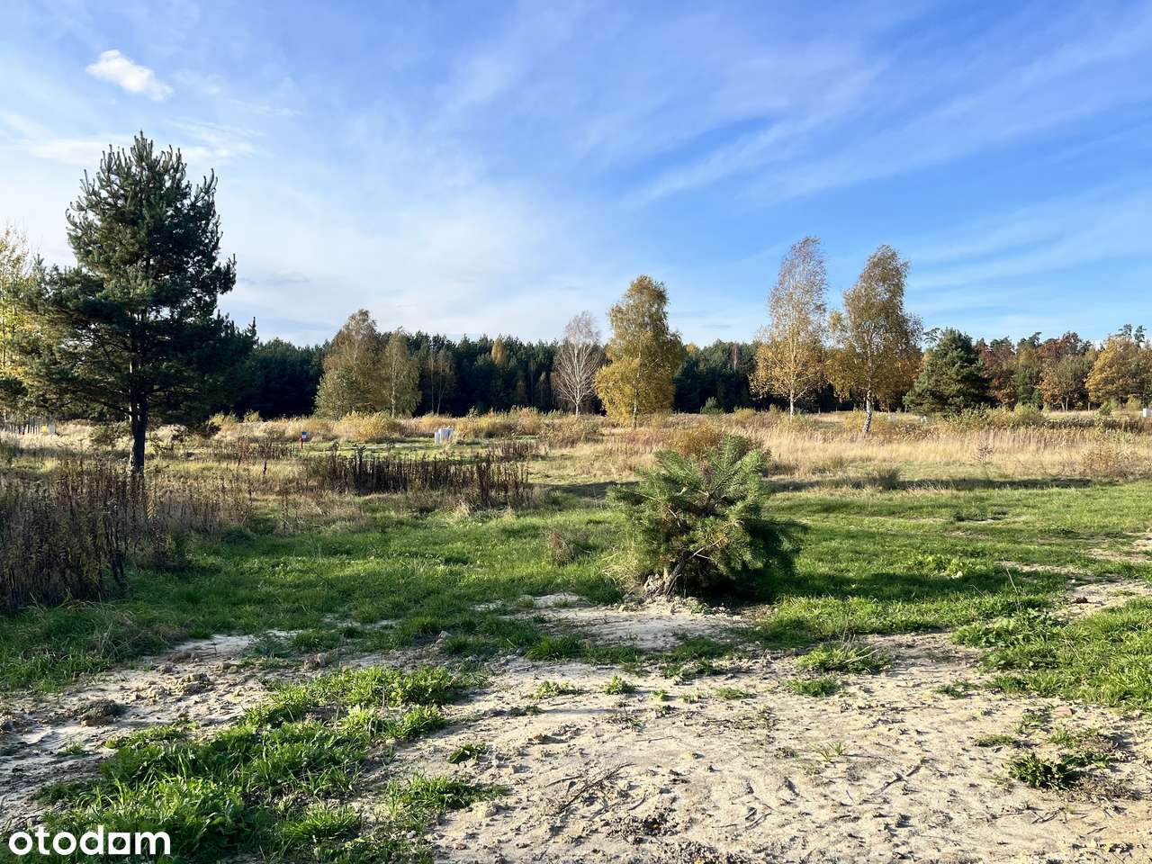 "LEŚNY ZAKĄTEK" - Olszyna koło Herb-11