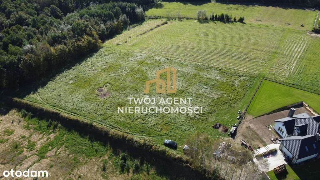 Na sprzedaż piękna widokowa działka 9,50 Słocina - Pełny obrazek: 5/5