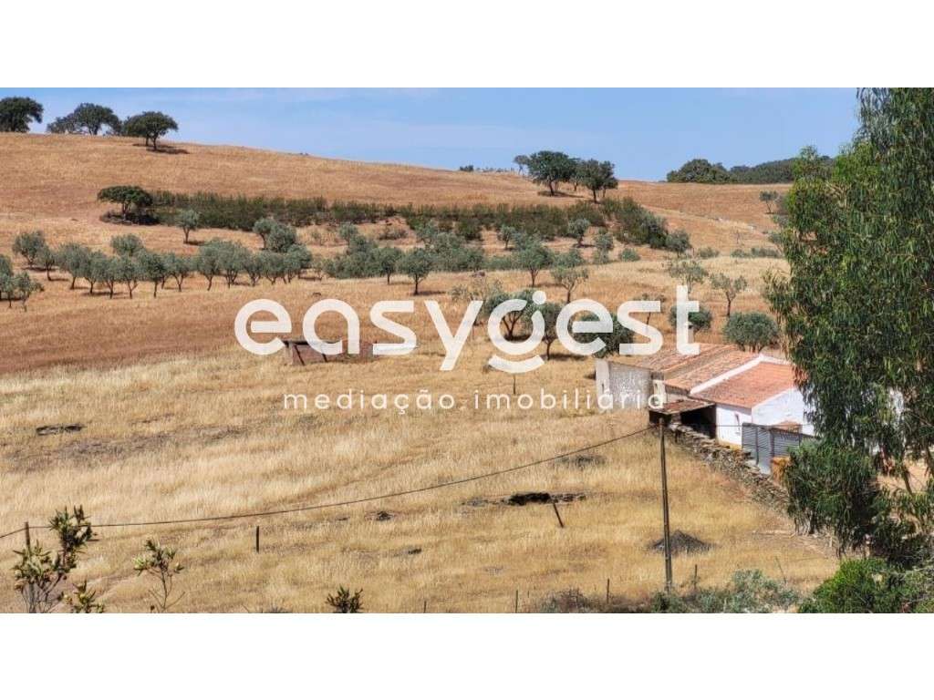 Monte Alentejano para recuperar localizado na freguesia de Ourique - Grande imagem: 4/20