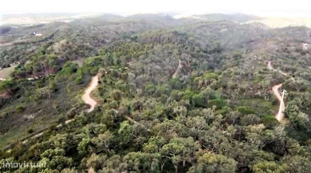 Terreno  para venda - Grande imagem: 4/8