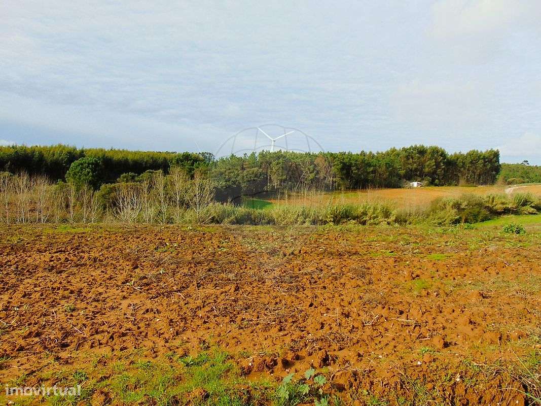 Terreno  para venda - Grande imagem: 4/10