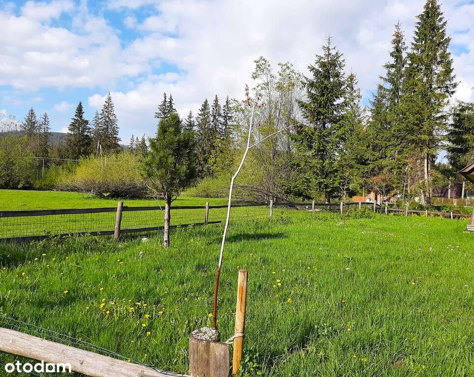 Widokowa działka w Witowie o pow. 715 m2-8