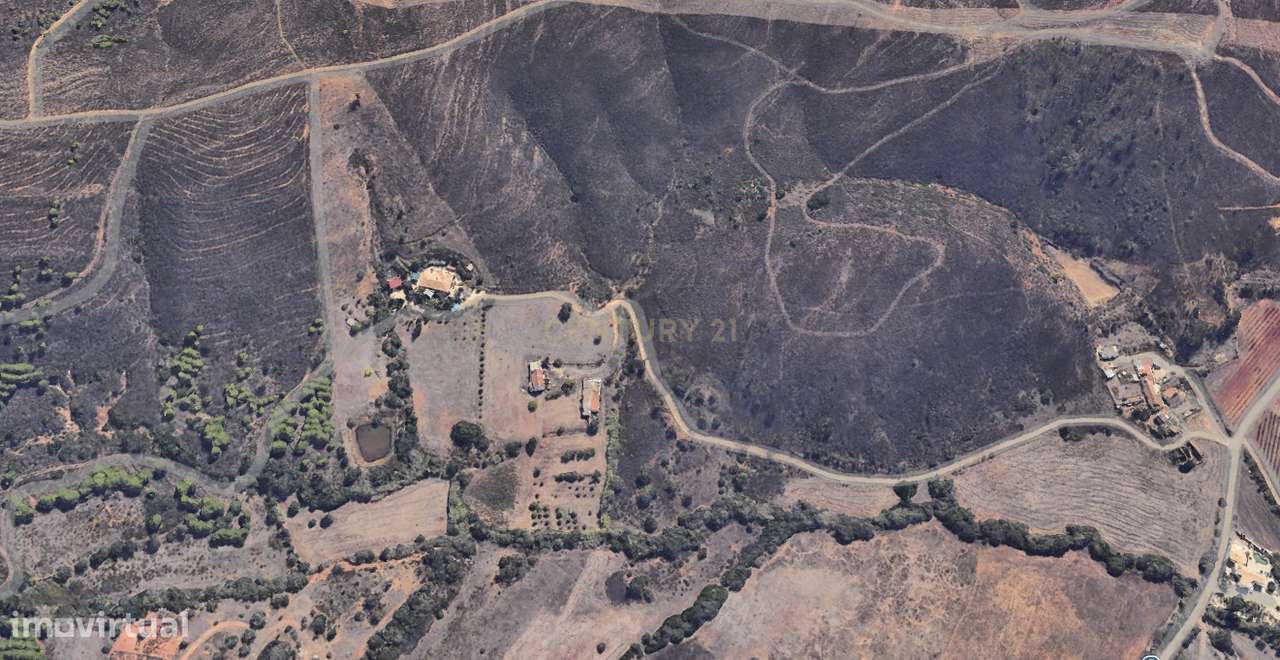 Casa de campo com 3 hectares - Grande imagem: 5/8