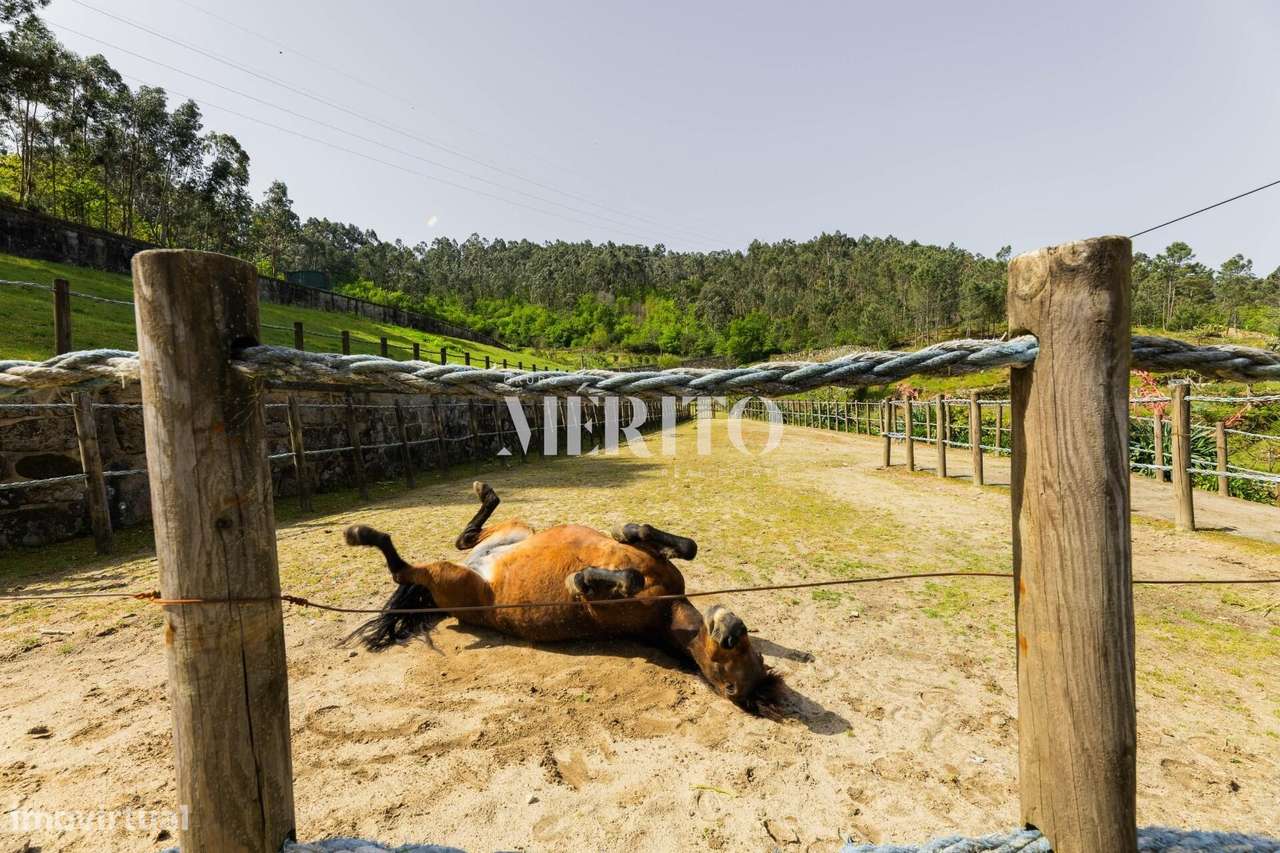 Quinta no Coração do Douro – Cinfães, Viseu-35
