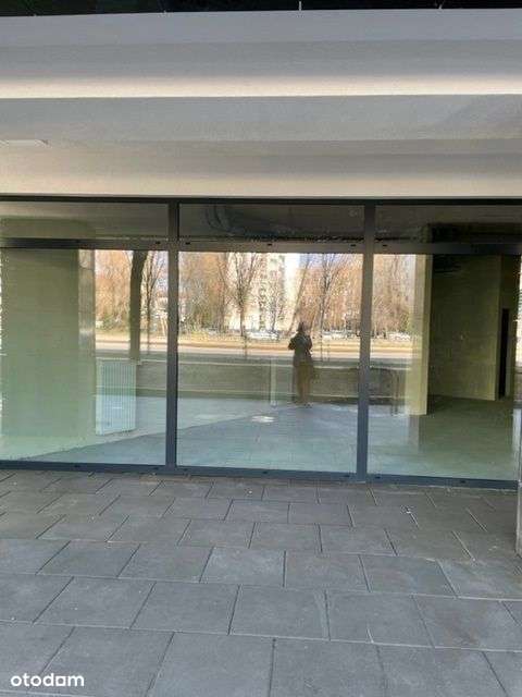 Aleja Solidarności. Lokal Inwestycyjny-5