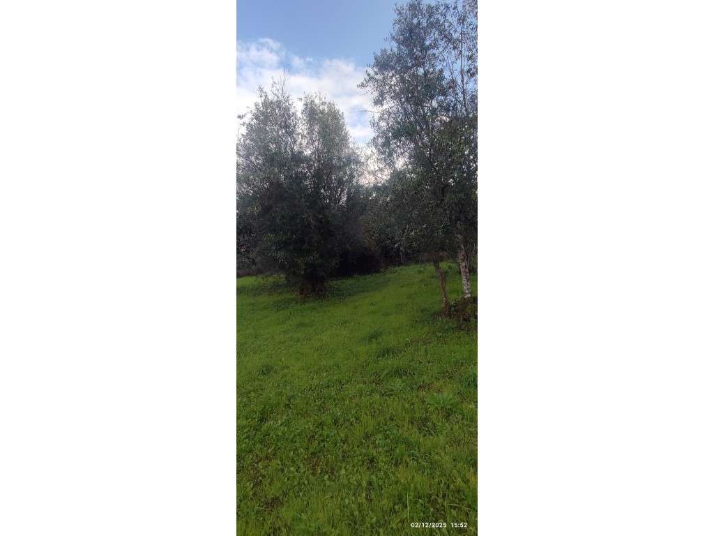 Casa para restauro com 6000m2 de terreno, localização única entre a...-17