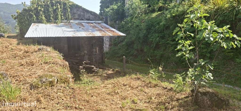 Terreno c/ Sequeira p/ Restauro  - Bouro Santa Marta-13