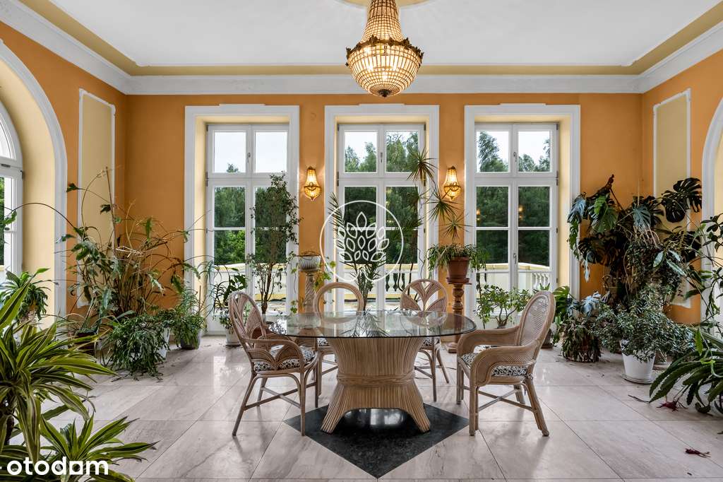 Atrakcyjny dwór / Hotel / Blisko Warszawy-10