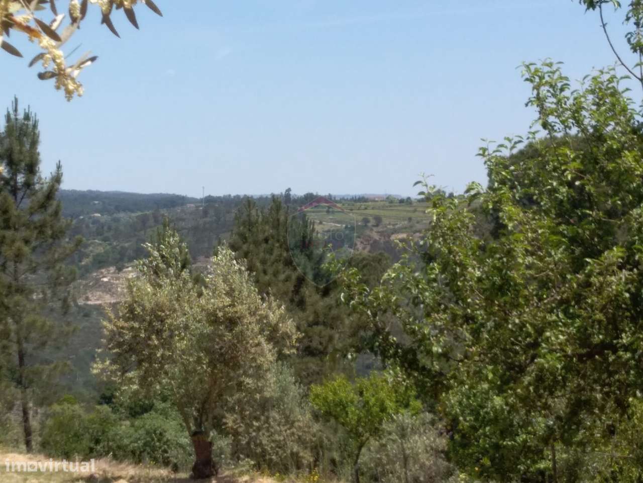 Terreno  Venda em Silgueiros,Viseu - Grande imagem: 2/13