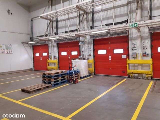 Powierzchnia Magazynowa Błonie pod Warszawą - Pełny obrazek: 3/14