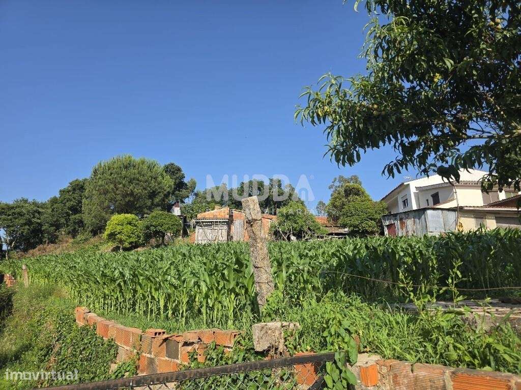 Terreno P/ Construção de Moradia 13m Frente - Grande imagem: 2/12