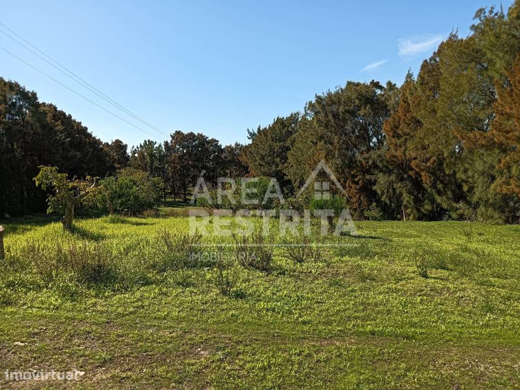 Quinta com a área de 8.750m2 - Zambujal - Grande imagem: 2/11