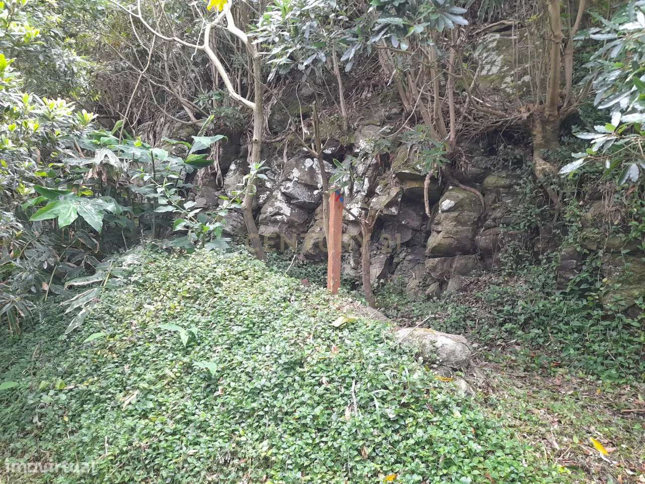 Terreno [ Ladeira ] - Grande imagem: 5/11